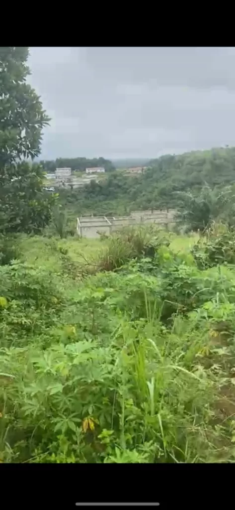 VENTE DE TERRAIN A BINGERVILLE