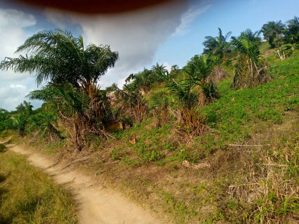 Terrains a vendre san Pedro Baba résidence