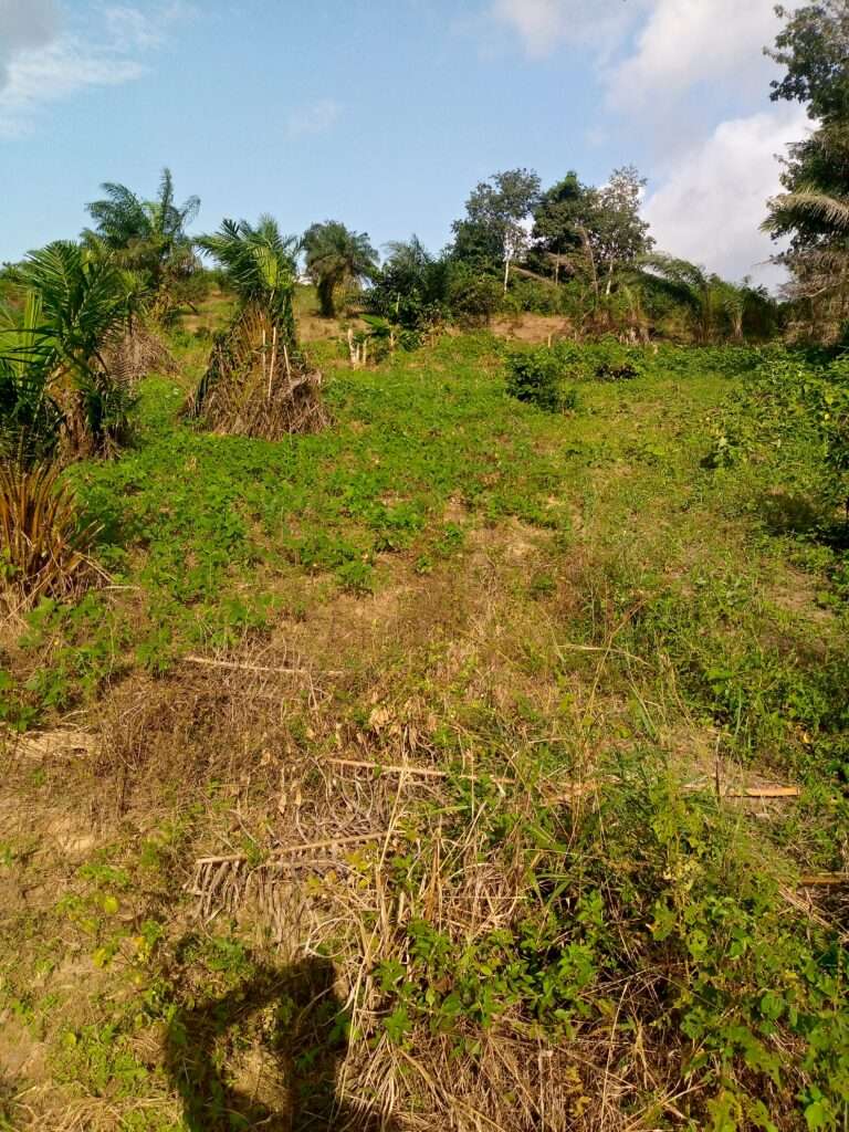 Terrains a vendre san Pedro Baba résidence