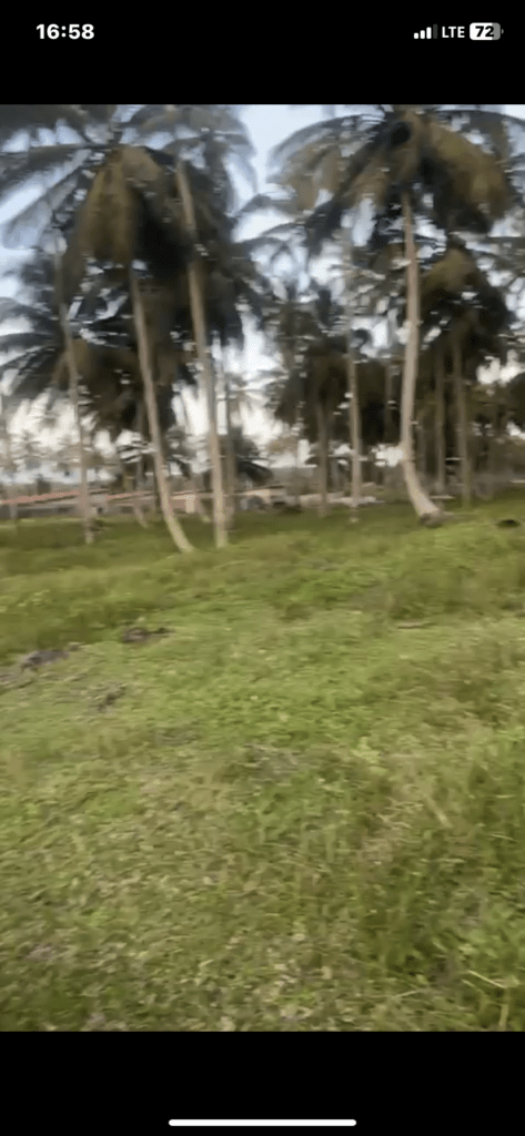 Vente de terrain à Jacqueville