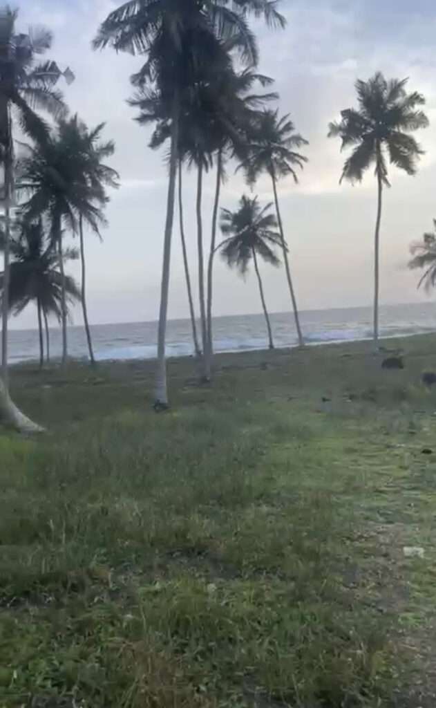 Vente de terrain à Jacqueville