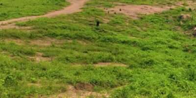 Terrain en vente (brofodoumé)
