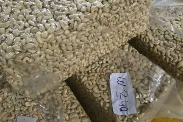 shelled cashew nuts from Ivory Coast