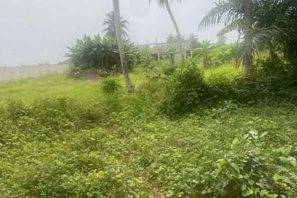 Terrain en vente (Bassam)