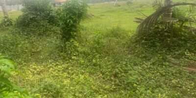 Terrain en vente (Bassam)