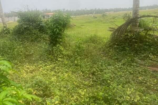 Terrain en vente (Bassam)