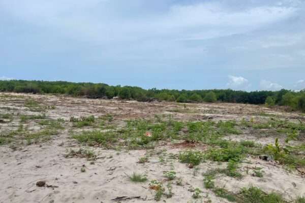 Îlot de 12 lots de 500m² nouvelles autoroute mondoukou assoi