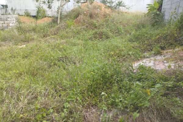 Riviera golf4 Lot 2000m² avec ACD EN VENTE bordure de route