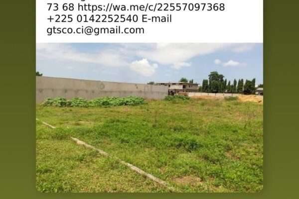 Bingerville vente de 3 terrains de 600m² avec ACD